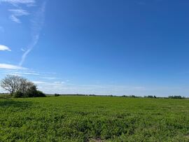 Maroslele