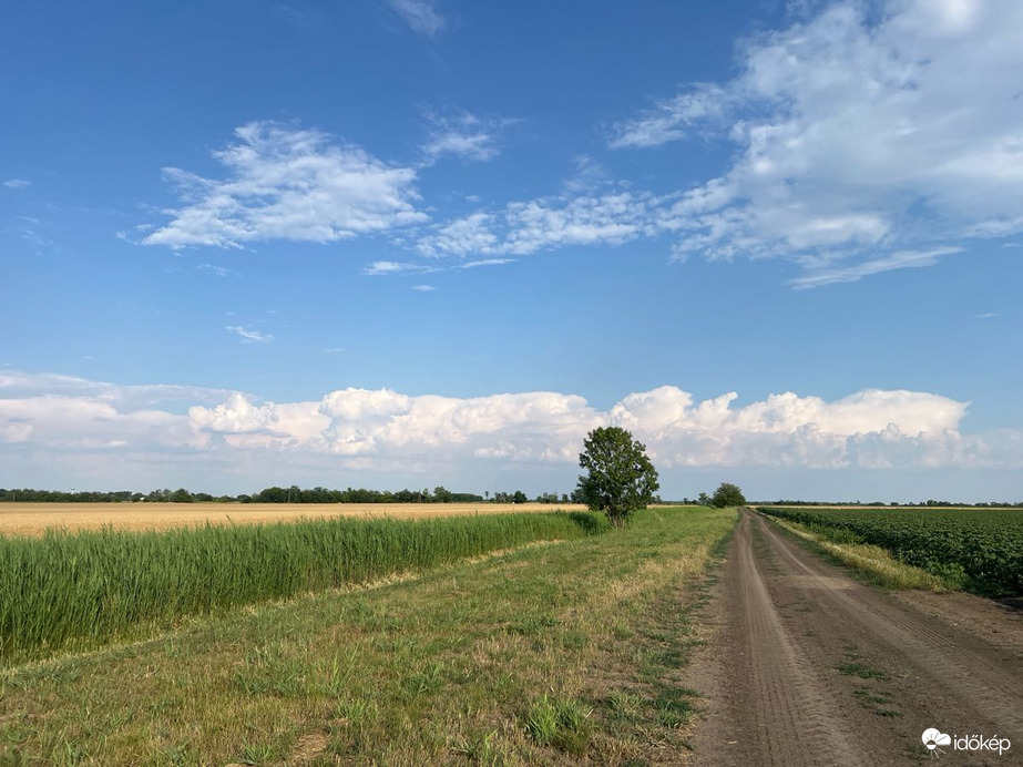 Szikáncs