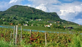 lelube fotója