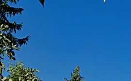 lelube fotója