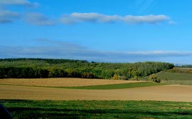 lelube fotója