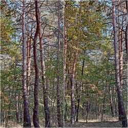 lelube fotója