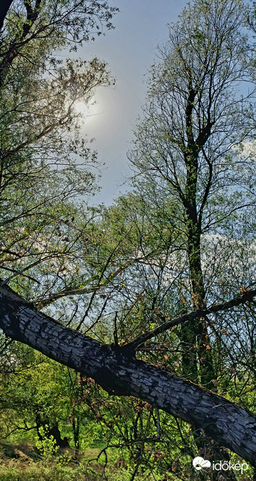 Marcal folyó mentén