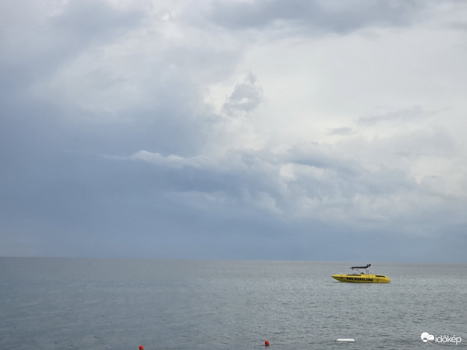 Tilkiler