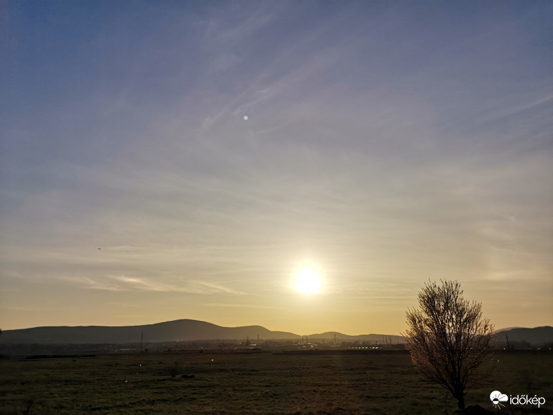 Virágzó vadszilva és a halo