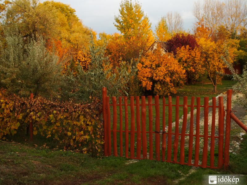 Kapu az őszbe