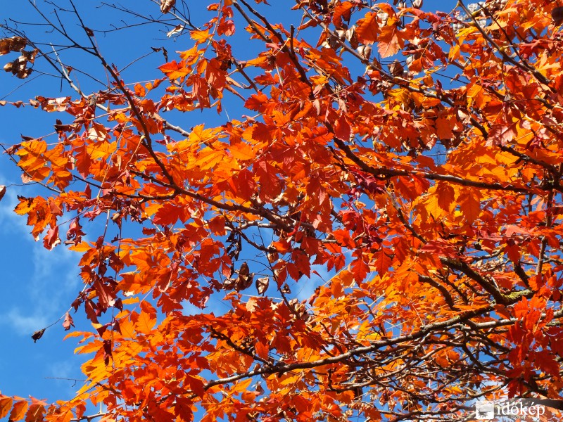 Kék és narancssárga