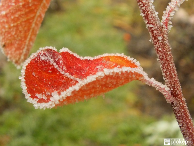 Zúzmarás csendélet