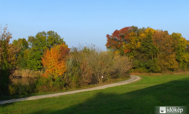 Őszbe csavarodik immár a természet feje