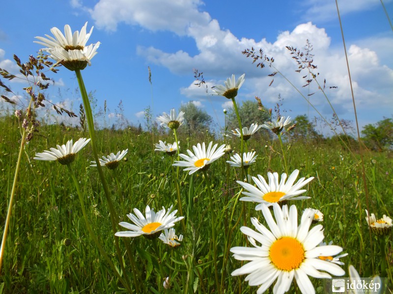 Ez már nyár