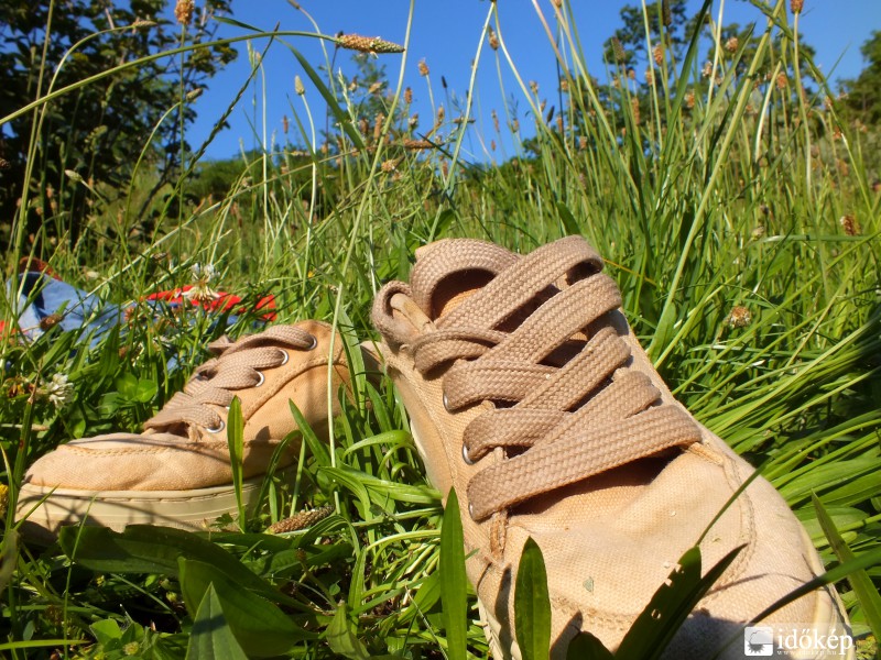 Le a cipővel!