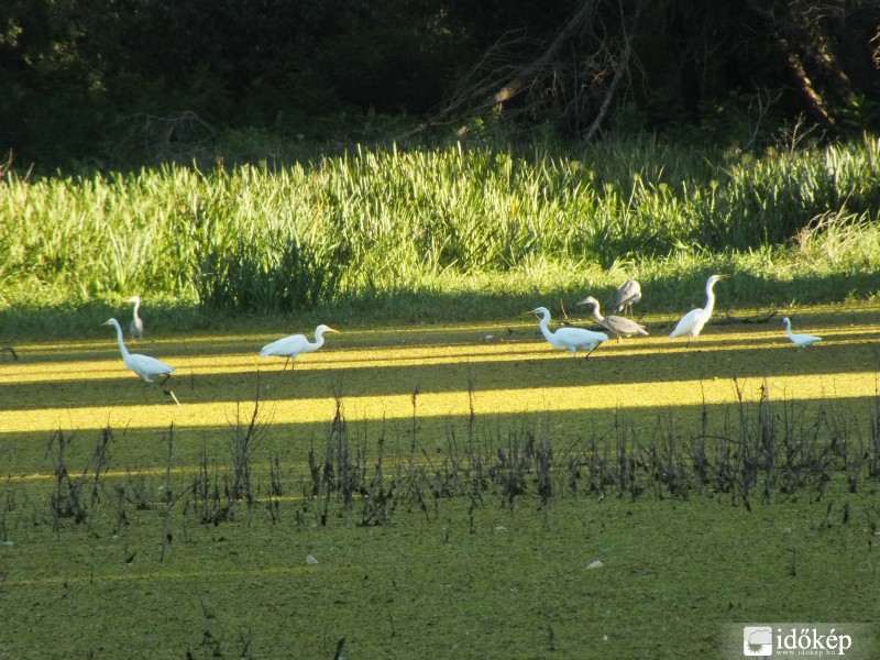 A távolságtartó gémek