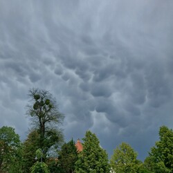 Gödöllő