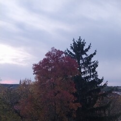 Gödöllő