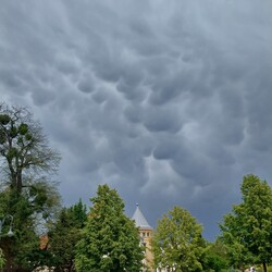 Gödöllő