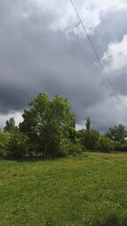 Sarkad