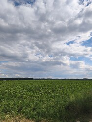 Sarkad