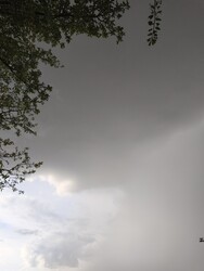 Sarkad
