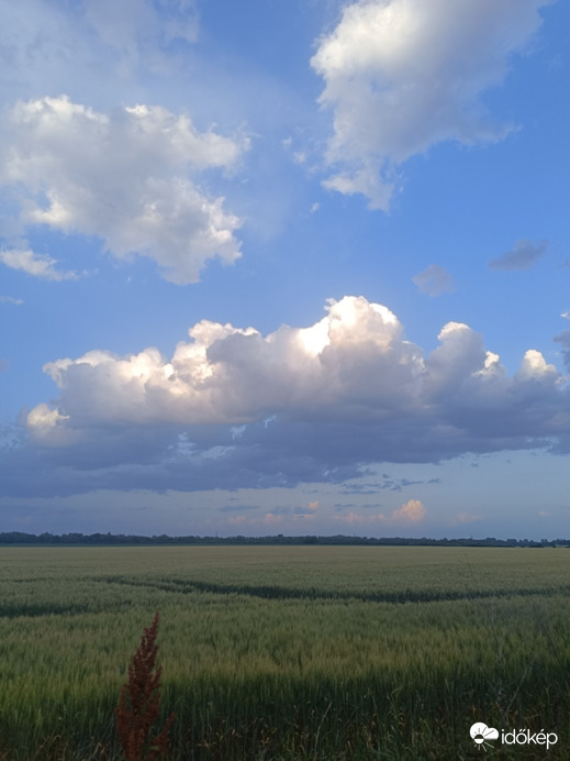 Sarkad