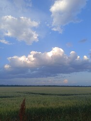 Sarkad