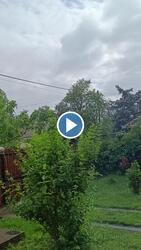Sarkad