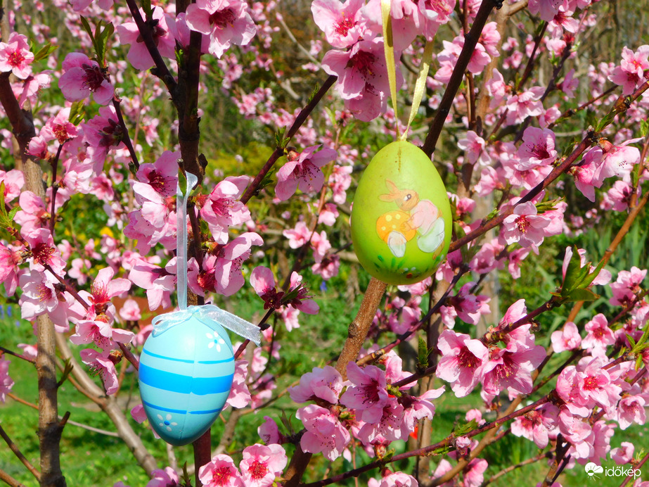 Mindenkinek kelle4mes húsvéti ünnepeket kívánok