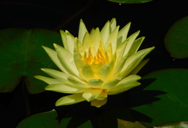 :)
