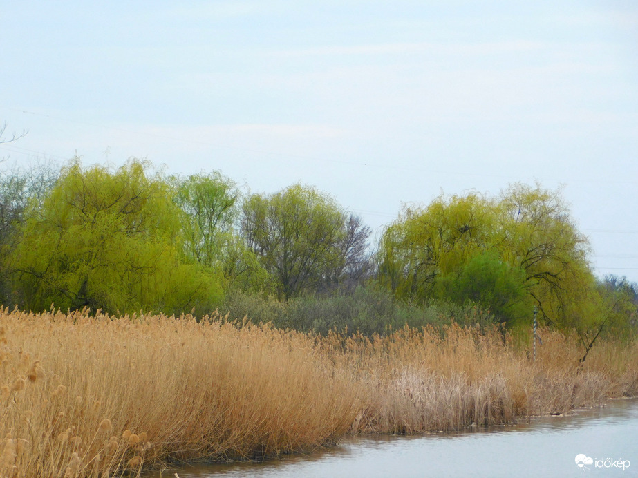 az a jó, hogy egyre több a zöld 