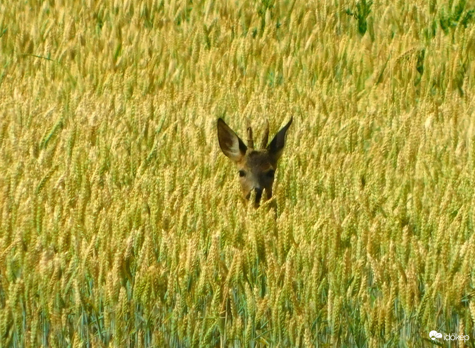 :)