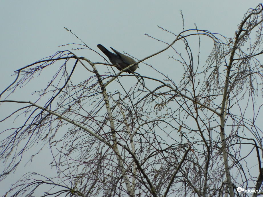 hintázni meg csudajó...