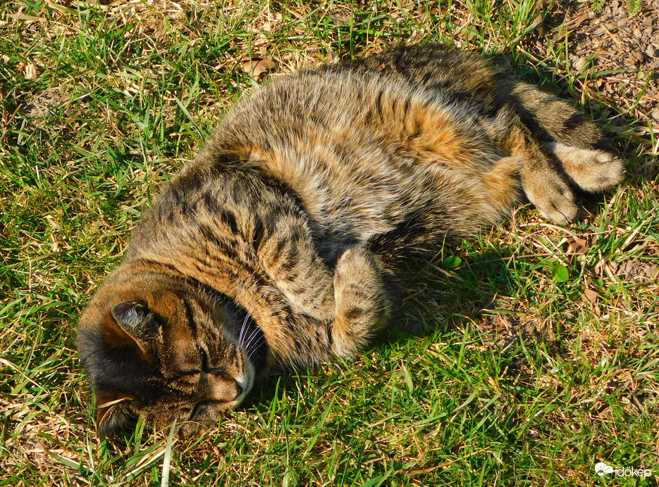 Karba fontam kezem-lábam