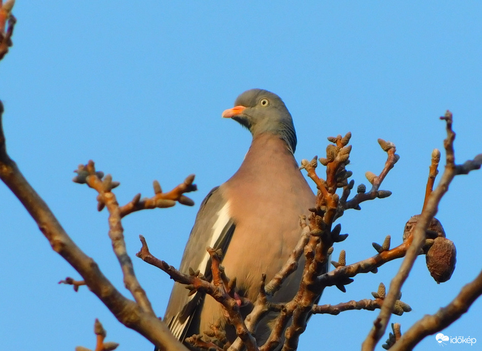 már megy le a nap ?