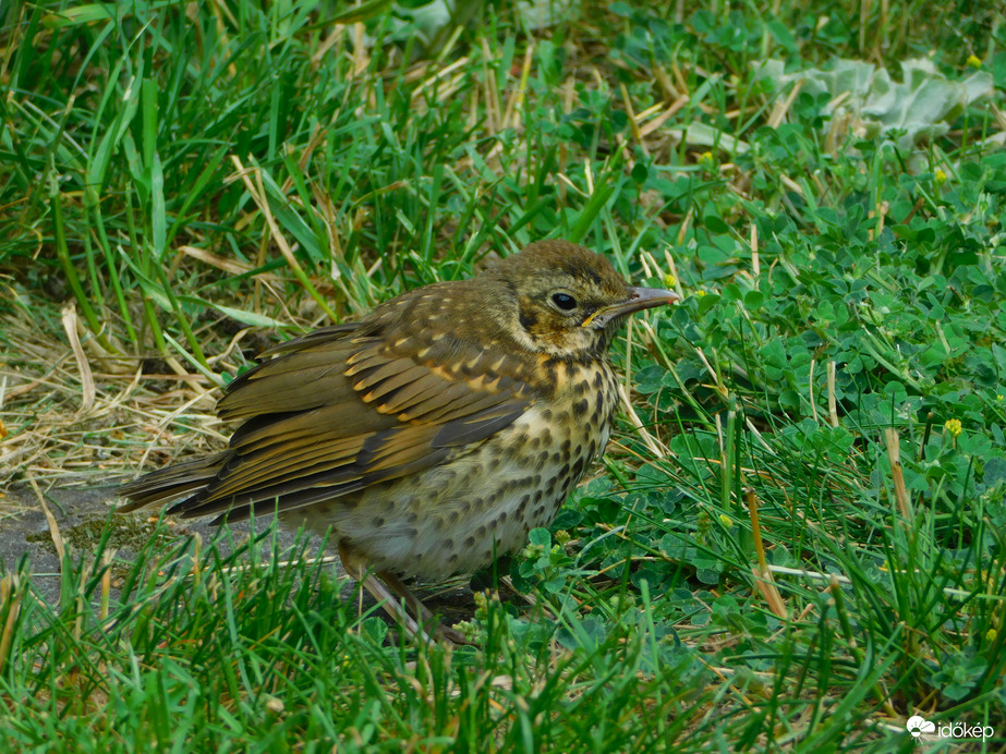 :)