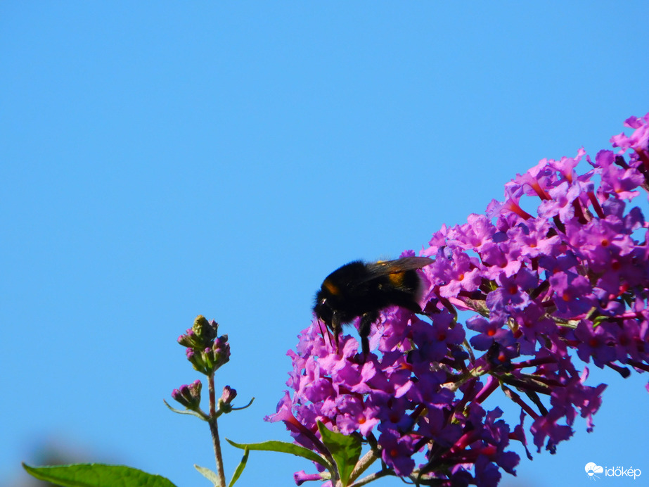 :)