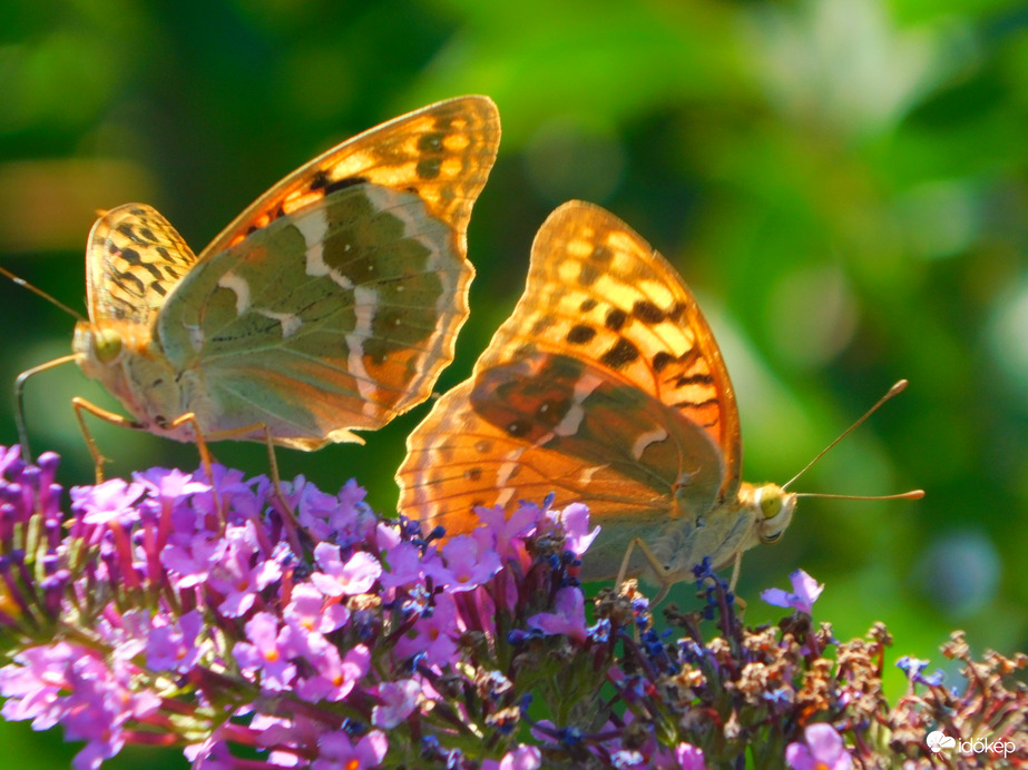 :)