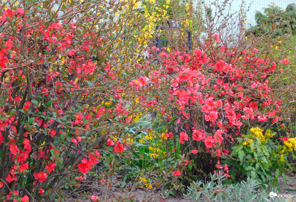 színek a ronda időben