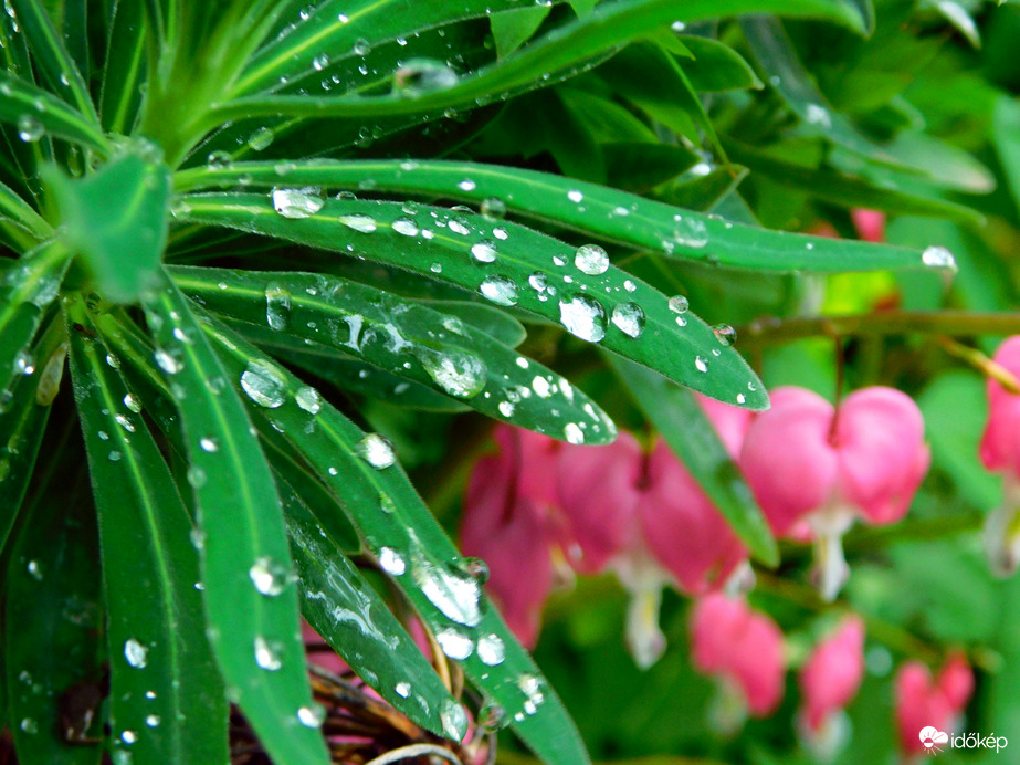 éjjeli zuhiból 16,5 mm :))