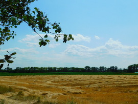lica fotója