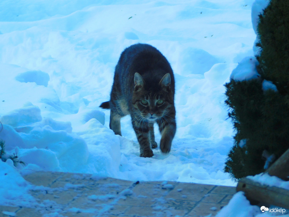 Eddig már eltúráztam, megyek is vissza :)