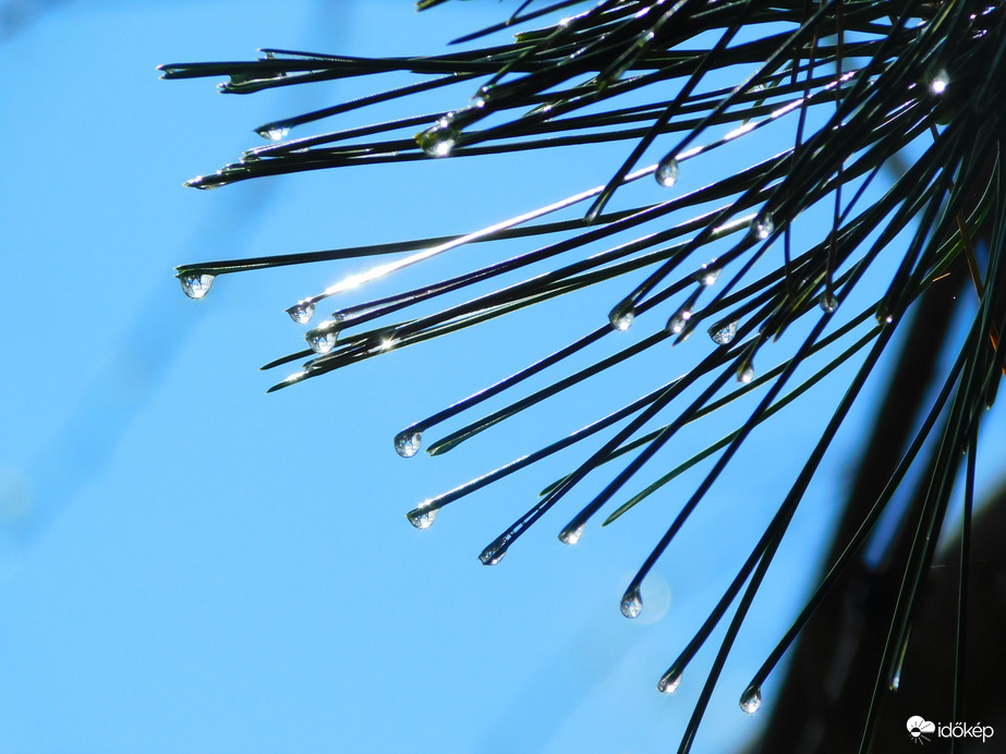 első zuhiból újabb 8 mm :)