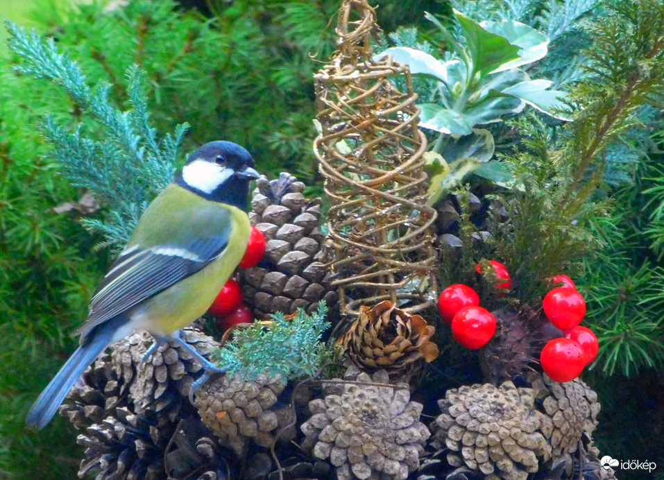 kellemes Ünnepeket, Boldog karácsonyt mindenkinek