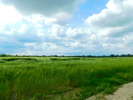 lica fotója