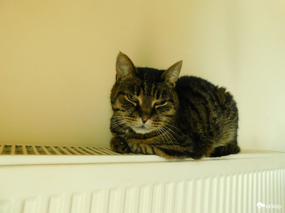 ma sincs másként ...