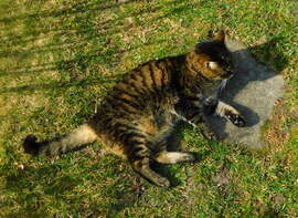 lejöttem a radiátorról :)