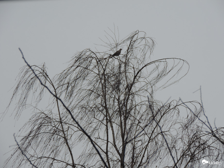 szél volt ugyan, de se nem erős, se nem viharos