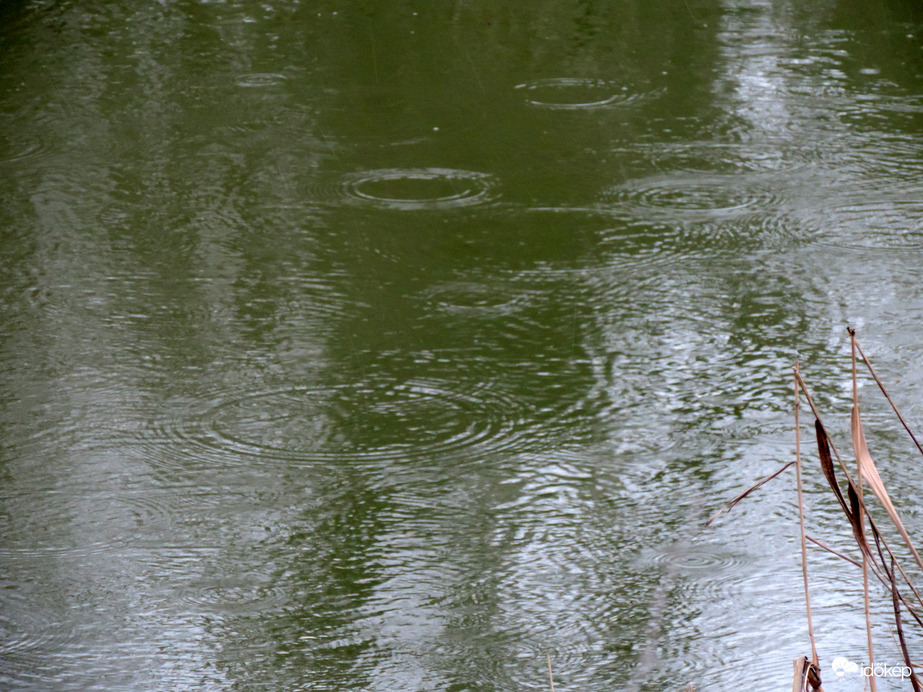 kaptunk vagy 7 mm esőt eddig összesen