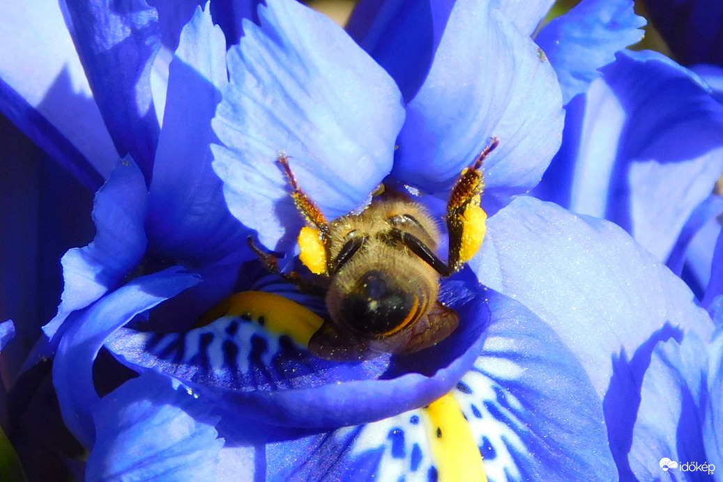 akár fejen állva is :))