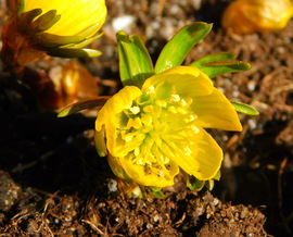 végre temetnek itt is :)