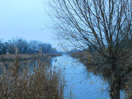 minden ronda napfény nélkül :( 