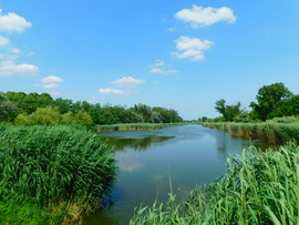 lica fotója